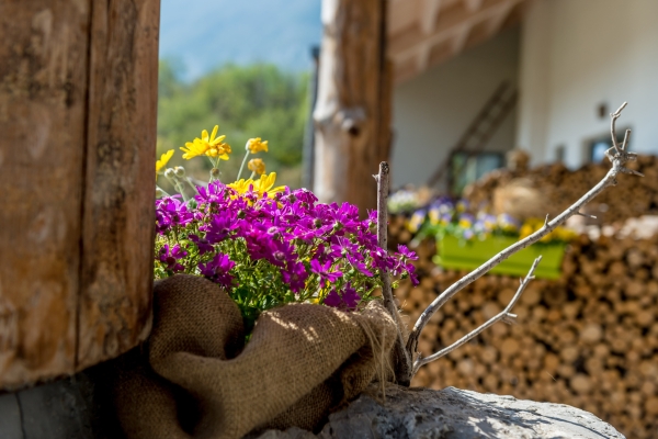 Hotel La Dolce Mela Agriturismo (Vezzano)